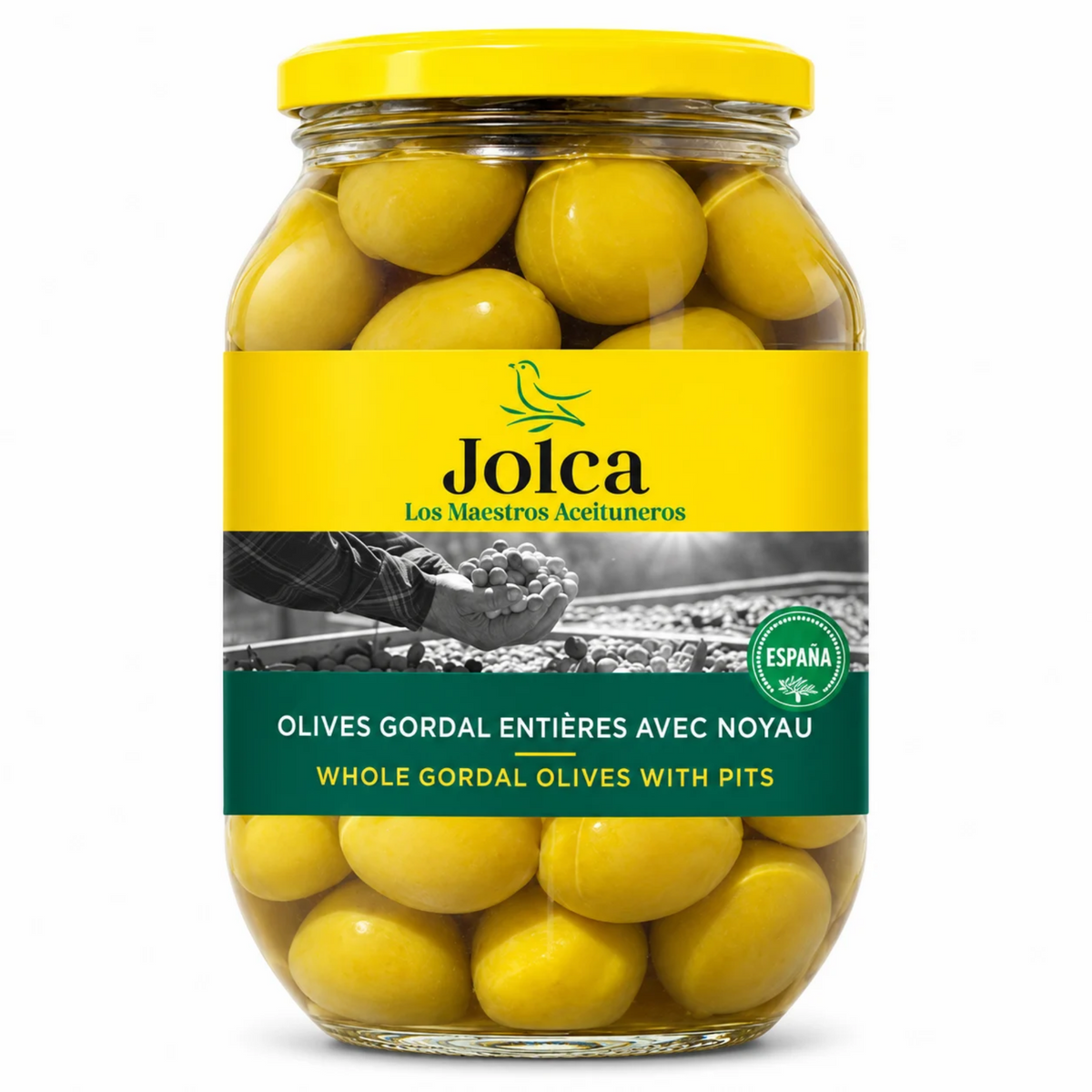 Olives Queen (Gordal) Entières 835g – Jolca | Saveur Charnue et Authentique de Séville