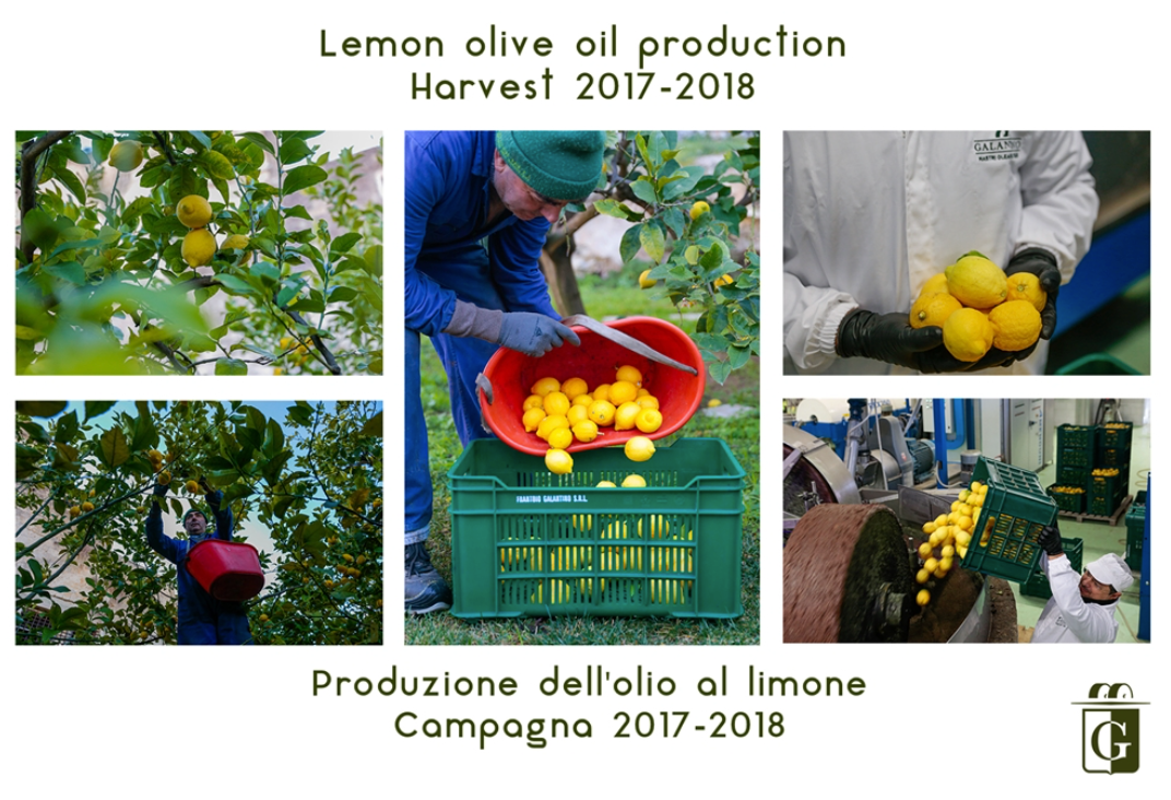 EXTRA VIRGIN OLIVE OIL WITH LEMON 250ML – GALANTINO