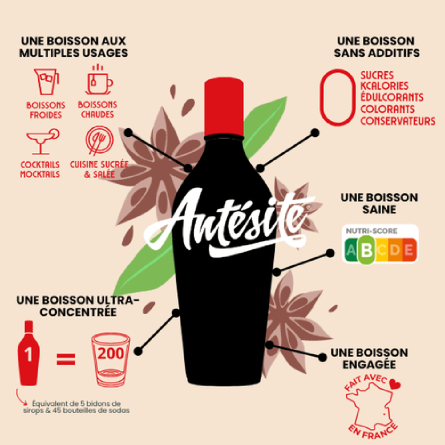Ultra Concentrated Licorice & Anise 130 ml – Antésite