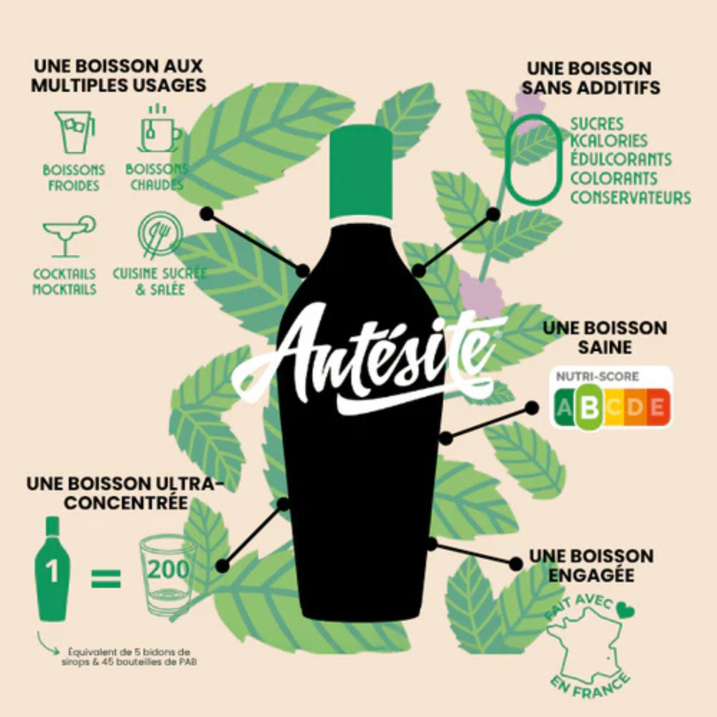 Ultra Concentré Réglisse & Menthe 130 ml – Antésite
