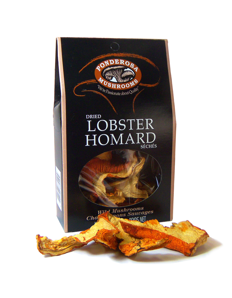 Dried lobster 14g