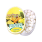 Les Anis de Flavigny citron 50g
