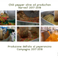 HUILE D’OLIVE EXTRA VIERGE AUX PIMENT 250ML – GALANTINO