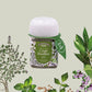 Organic Court-Bouillon 18g – Provence d'Antan | Organic Herb Blend for Fish & Broths